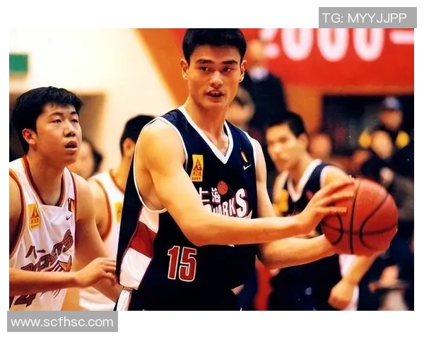 姚明退役聚餐回忆录：篮球传奇的告别与友谊的永恒