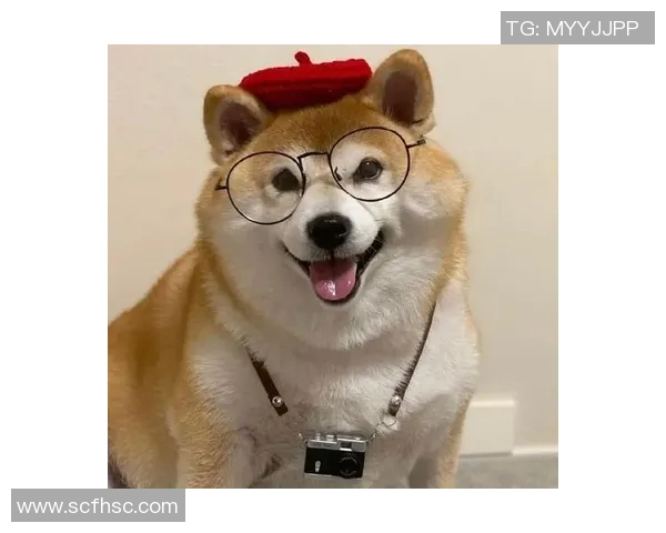 足球场上的搞笑瞬间高清明星头像大集合让你捧腹大笑