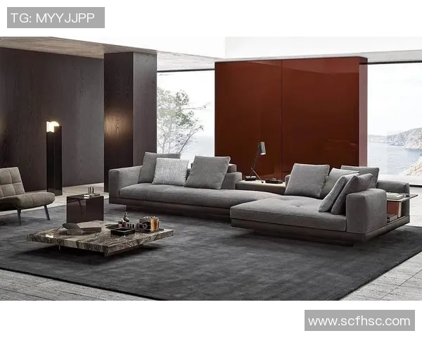 足球明星同款沙发揭秘打造你的豪华休闲空间与明星同享舒适体验