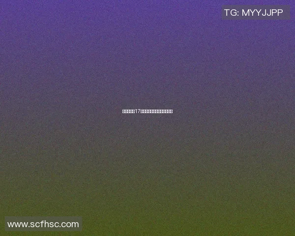 篮球名明星17的传奇之路与辉煌成就全解析 篮球名明星17的传奇之路与辉煌成就全解析